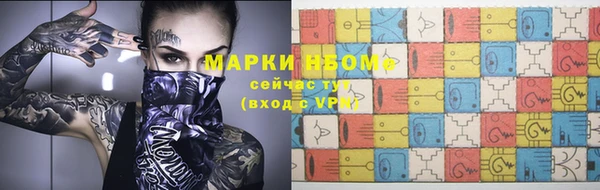 прущие грибы Балахна