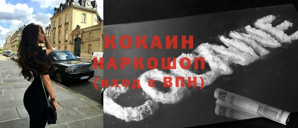 прущие грибы Балахна