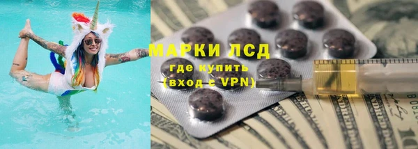 прущие грибы Балахна