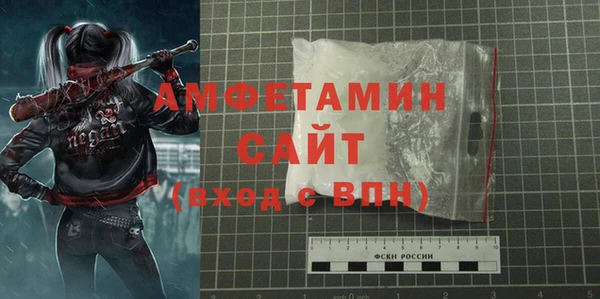 прущие грибы Балахна