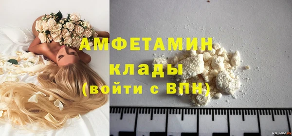 прущие грибы Балахна