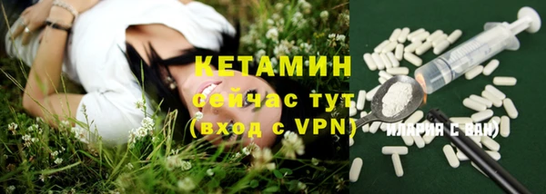 прущие грибы Балахна